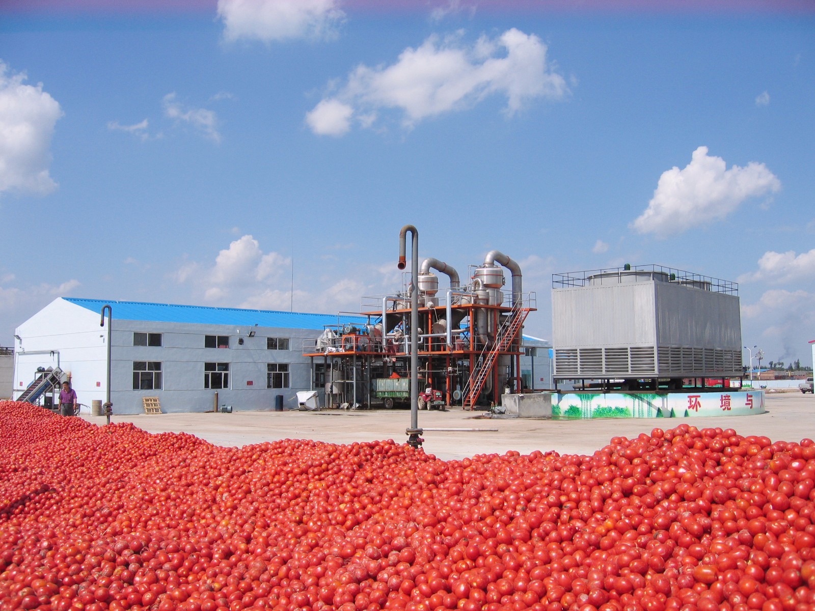 1523172060570717.jpg 1523172060570717.jpg